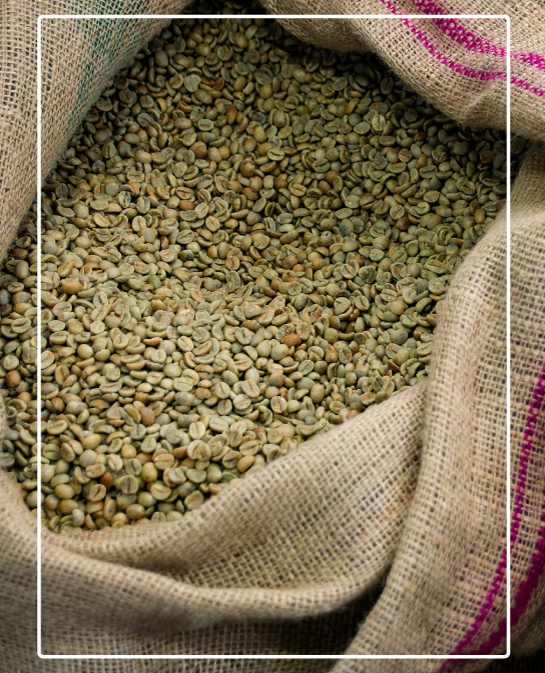 AB Bugisu Arabica Green Washed Coffee Beans